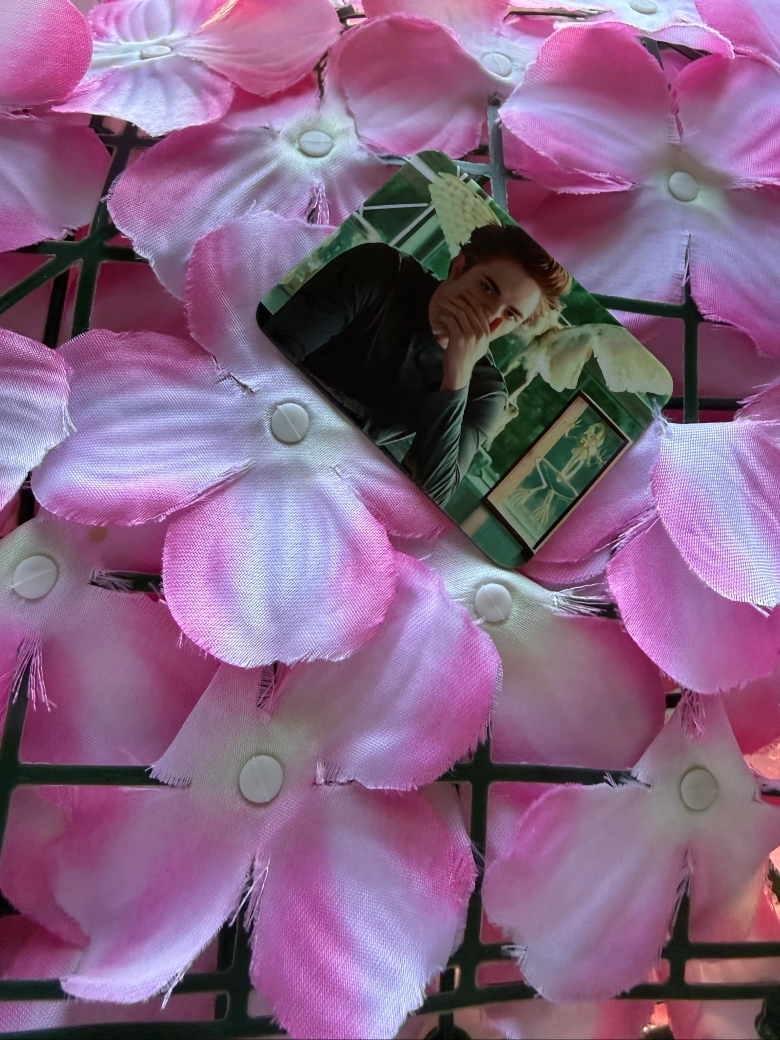 Imã Edward Cullen – photo 8